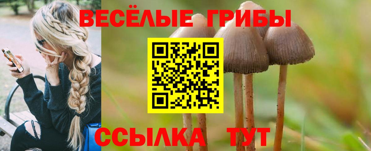 Гашиш  ГАШ  NBOMe  Кокаин  Вход с VPN  МДМА  Обнинск  Каннабис  Меф МЯУ МЯУ кристаллы 